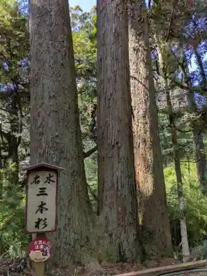 笠森寺(千葉県)