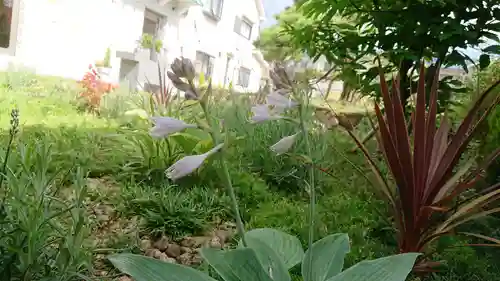 寿量山　速成寺の自然