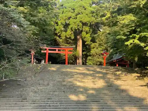 霧島神宮(鹿児島県)