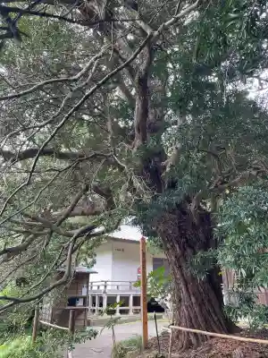 浄光明寺(神奈川県)
