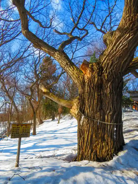 相馬神社(北海道)