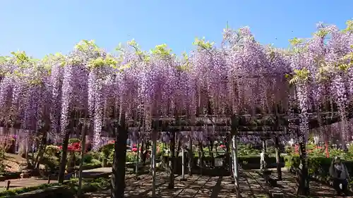 箭弓稲荷神社の庭園