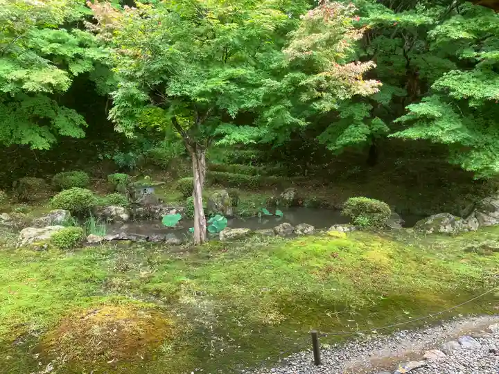 常高寺(福井県)