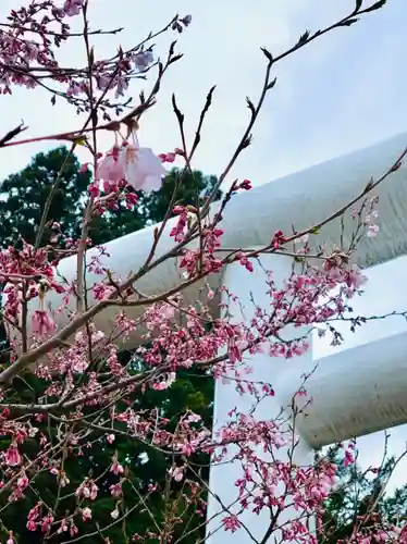 土津神社｜こどもと出世の神さまの自然