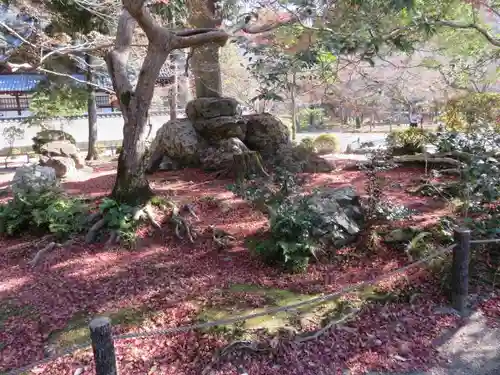 南禅寺の庭園