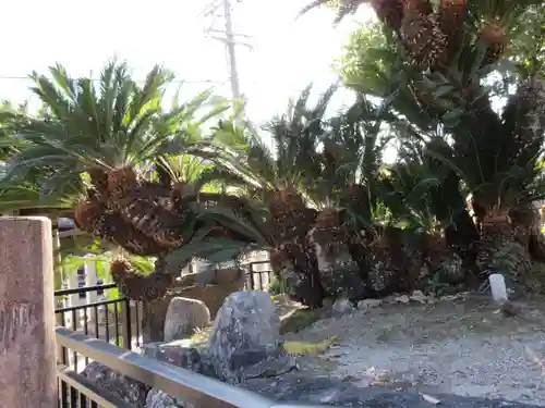 龍田神社の庭園