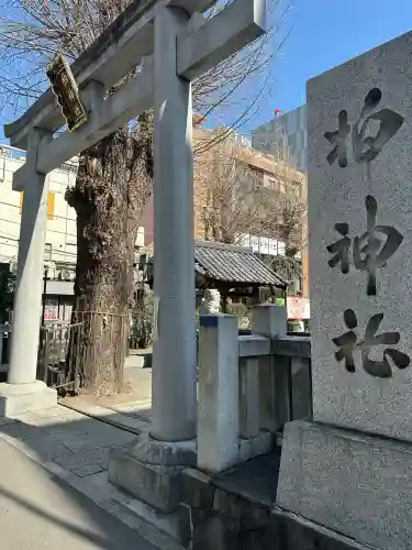 柏神社の{uncategorized: "未分類", other: "その他", undefined: "問題あり", building: "その他建物", grave: "お墓", sacred_gate: "鳥居", guardian: "狛犬", statue: "像", buddha: "仏像", history: "歴史", nature: "自然", garden: "庭園", animal: "動物", pagoda: "塔", temizu: "手水舎", mountain_gate: "山門・神門", sanctuary: "本殿・本堂", subordinate: "末社・摂社", art: "芸術", scenery: "景色", jizo: "地蔵", ema: "絵馬", goshuin: "御朱印", omikuji: "おみくじ", items: "授与品その他", amulet: "お守り", goshuincho: "御朱印帳", eats: "食事", festival: "お祭り", votive_dance: "神楽", shichigosan: "七五三参", wedding: "結婚式", experience: "体験その他", initially: "初詣", around: "周辺", anti_infection: "感染症対策"}