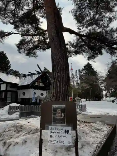 厚真神社(北海道)