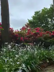 安住神社の自然