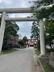 善知鳥神社の鳥居