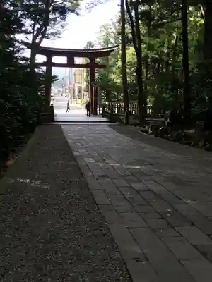彌彦神社(新潟県)
