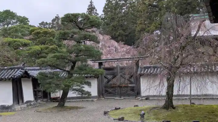 醍醐寺(京都府)