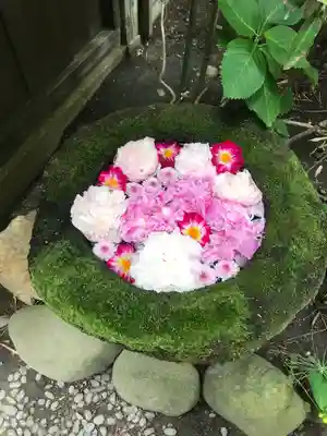 菅生神社の手水舎