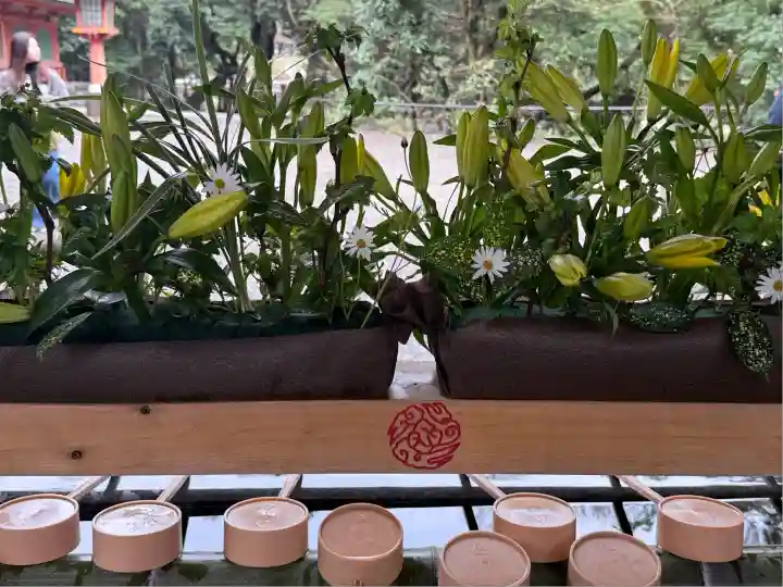 武蔵一宮氷川神社(埼玉県)