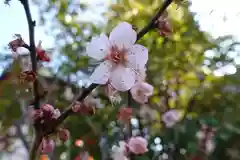 菅原天満宮（菅原神社）の自然