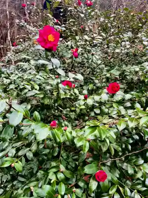 青麻神社(宮城県)