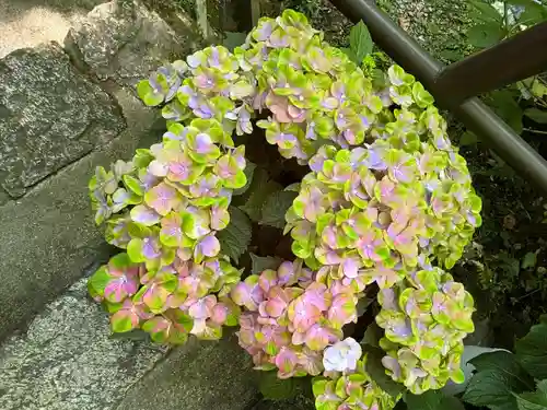 長谷寺(奈良県)