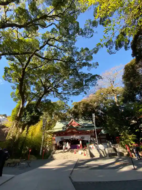 來宮神社の自然