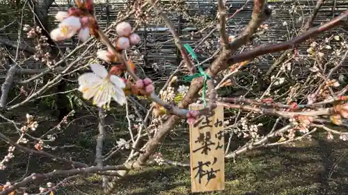 元興寺(奈良県)