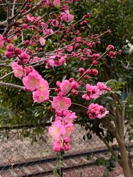 頼光寺(兵庫県)