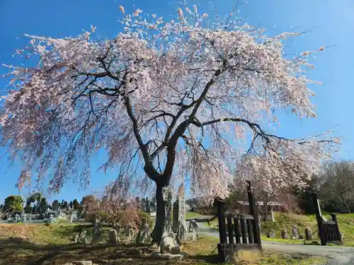 長徳寺(岩手県)