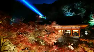 清水寺の{uncategorized: "未分類", other: "その他", undefined: "問題あり", building: "その他建物", grave: "お墓", sacred_gate: "鳥居", guardian: "狛犬", statue: "像", buddha: "仏像", history: "歴史", nature: "自然", garden: "庭園", animal: "動物", pagoda: "塔", temizu: "手水舎", mountain_gate: "山門・神門", sanctuary: "本殿・本堂", subordinate: "末社・摂社", art: "芸術", scenery: "景色", jizo: "地蔵", ema: "絵馬", goshuin: "御朱印", omikuji: "おみくじ", items: "授与品その他", amulet: "お守り", goshuincho: "御朱印帳", eats: "食事", festival: "お祭り", votive_dance: "神楽", shichigosan: "七五三参", wedding: "結婚式", experience: "体験その他", initially: "初詣", around: "周辺", anti_infection: "感染症対策"}