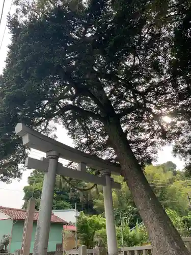 御嶽神社の鳥居