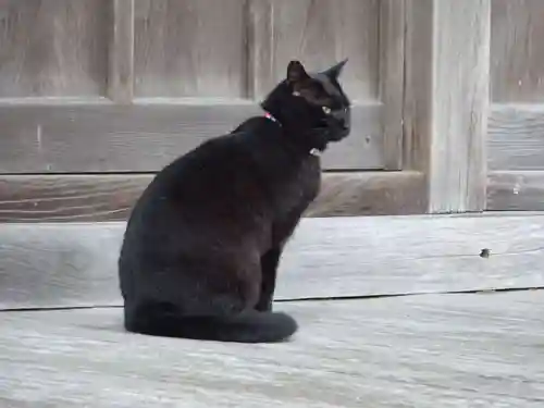 かっぱの寺 栖足寺(静岡県)