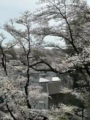榛名神社(東京都)