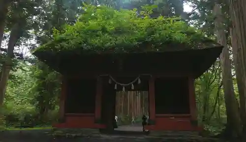 戸隠神社奥社の山門