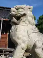 野村神社の狛犬