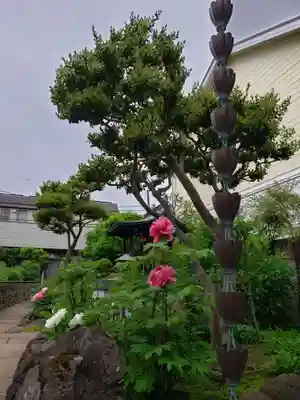 禅定院(東京都)