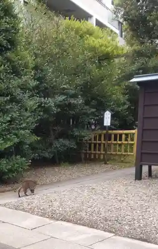 白金氷川神社(東京都)