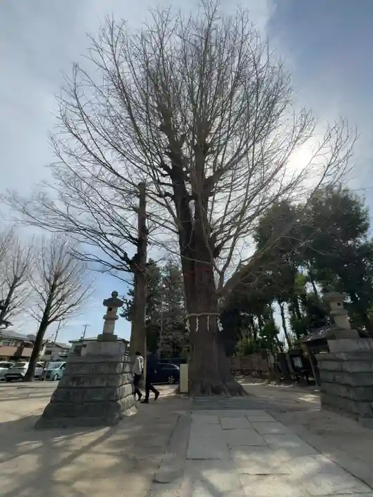 春日部八幡神社(埼玉県)