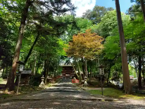 日吉大社の建物その他