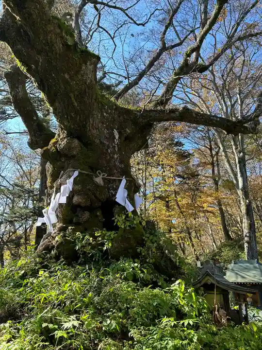 熊野皇大神社(長野県)
