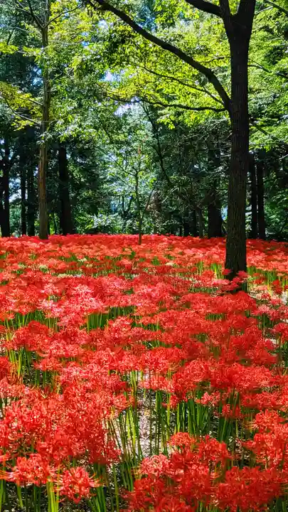 七百餘所神社 の周辺