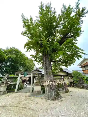 市杵島姫神社の自然