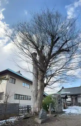 三ツ石神社(岩手県)