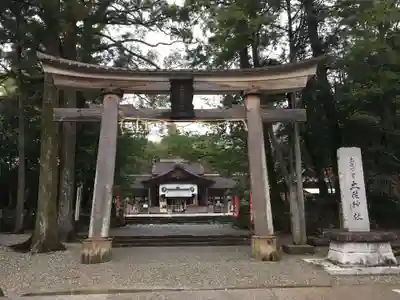 土佐神社の鳥居
