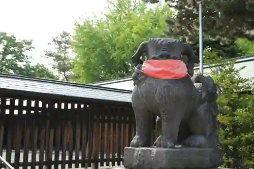 札幌護國神社の狛犬