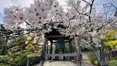 蓮華寺(京都府)