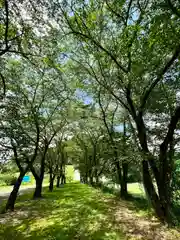 子檀嶺神社(長野県)