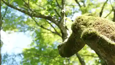 詩仙堂(丈山寺)(京都府)