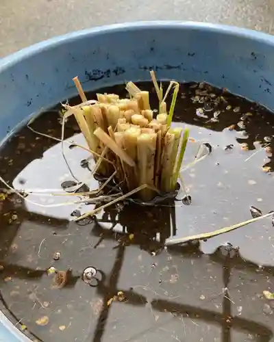 總社 和田八幡宮(福井県)