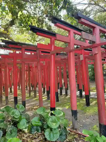 美濃輪稲荷神社の鳥居