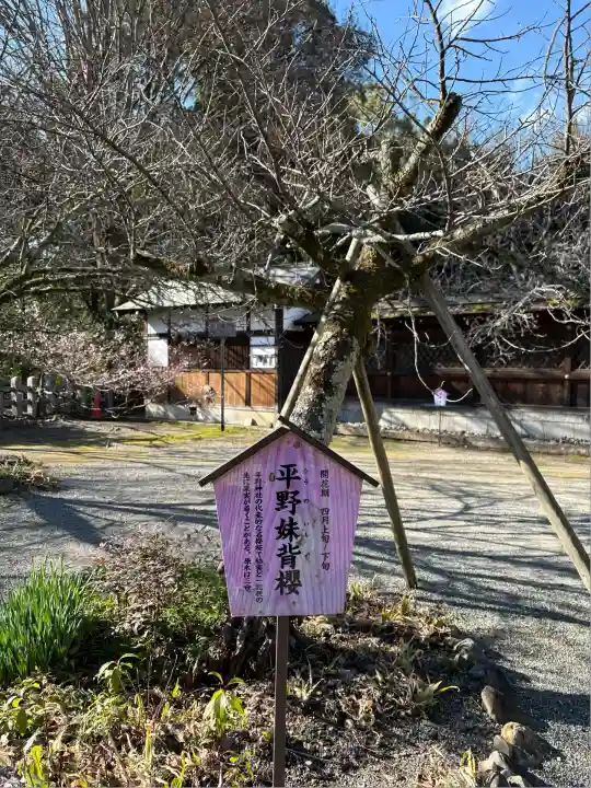 平野神社(京都府)