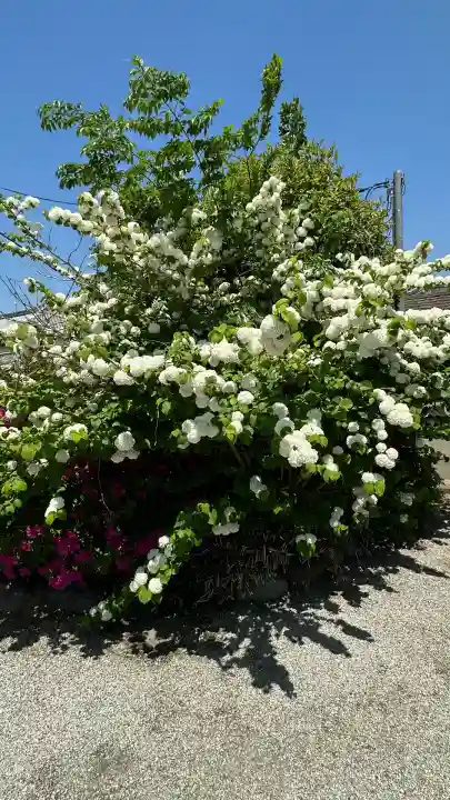 吉祥草寺(奈良県)