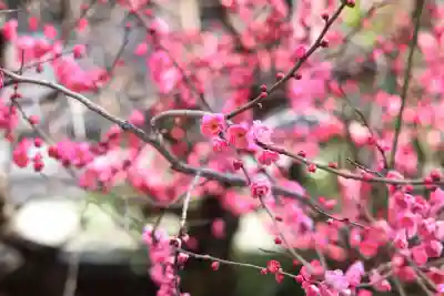 大國魂神社(東京都)