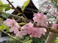 普門寺(切り絵御朱印発祥の寺)(愛知県)